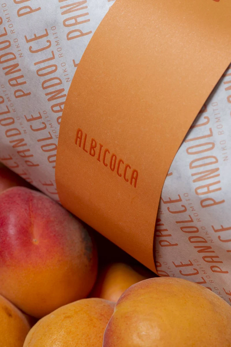 PANDOLCE ALBICOCCA