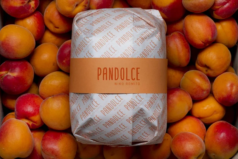 PANDOLCE ALBICOCCA