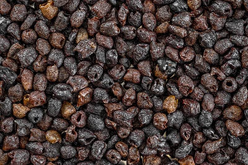 Oliva "Taggiasca" Essiccata