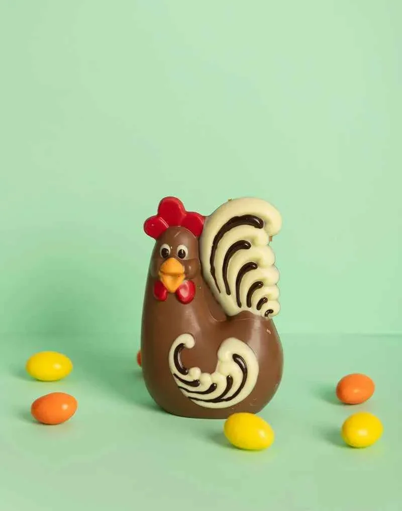 Galletto di cioccolato.