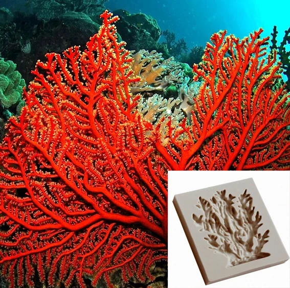 Cavalluccio e Stella di Mare. Stampo in Silicone. Katy Sue