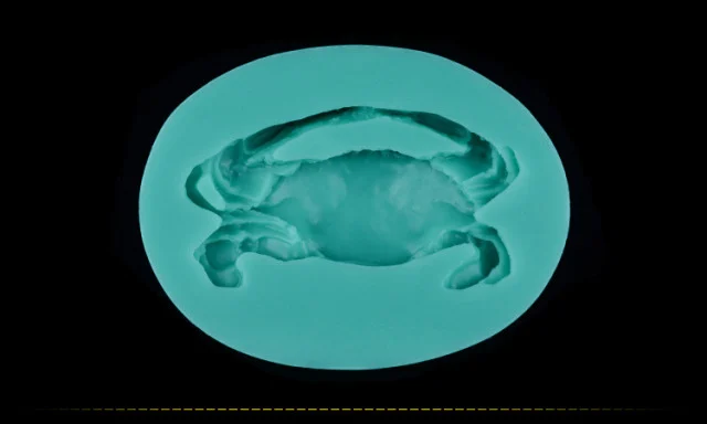 Granchio di mare. Stampo silicone