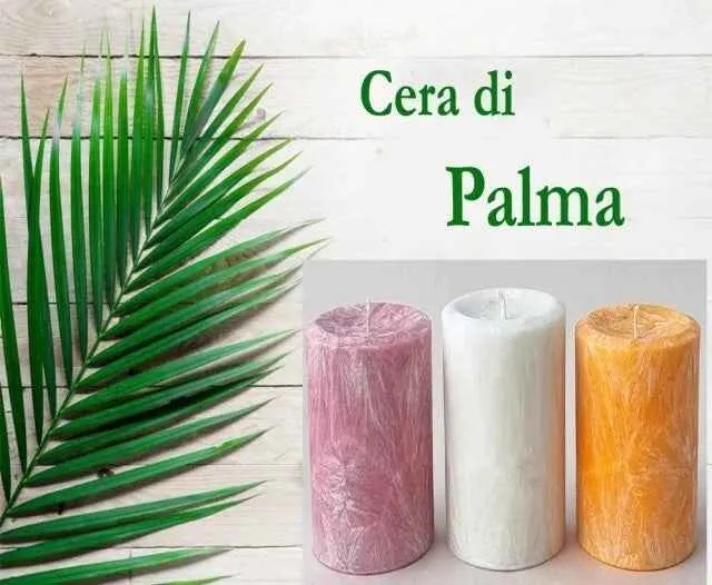 Cera di palma in scaglie per candele in contenitore