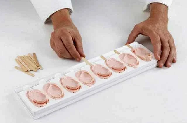 Stampo Classic Gelato Magnum in silicone con 8 Impronte e 30 Stecche
