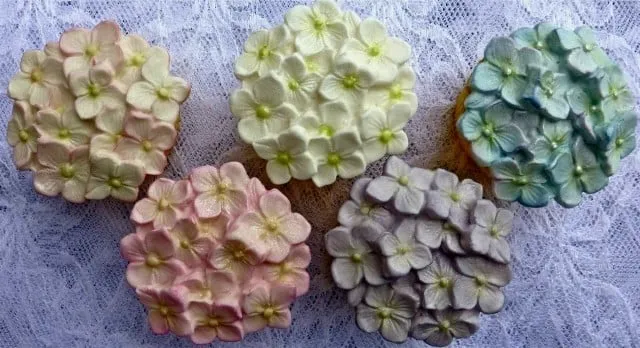 Ortensia o Idrangea. Stampo Bordo in silicone