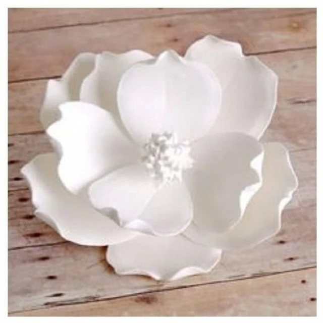 Bianca. 1 Kg. Gum Paste per Fiori. Renshaw. Kosher