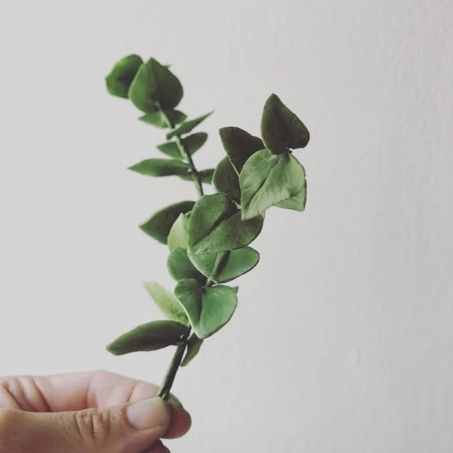 Gum Paste Verde 300 gr. per Fiori. Decorina Vip