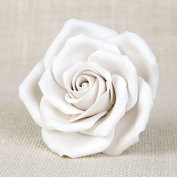 Gum Paste Bianca 300 gr. per Fiori. Decorina Vip
