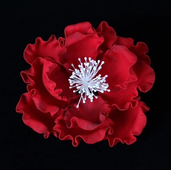 Gum Paste Rossa 300 gr. per Fiori. Decorina Vip