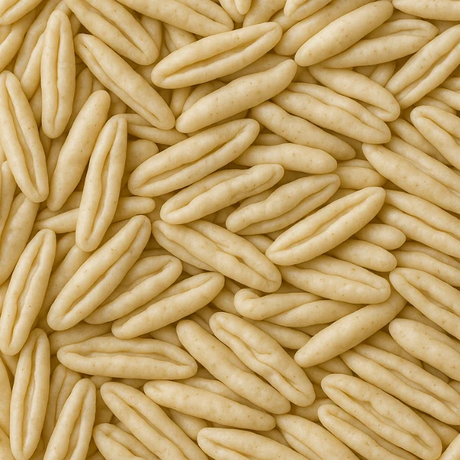 Bulk Pack Amor di Pasta BIO 12 pezzi