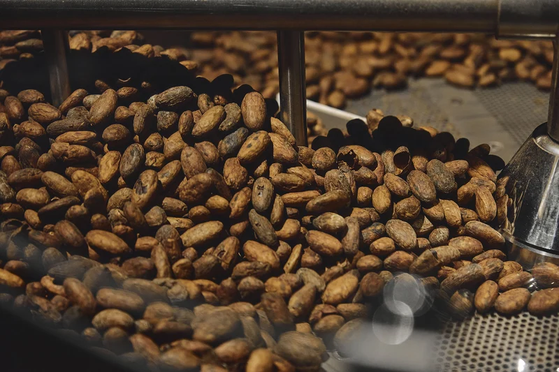 Degustazione Grand Cru 30 cioccolati