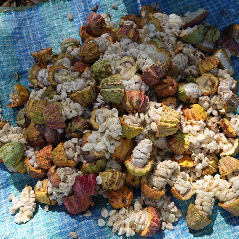 Sambirano 68.8% - Madagascar