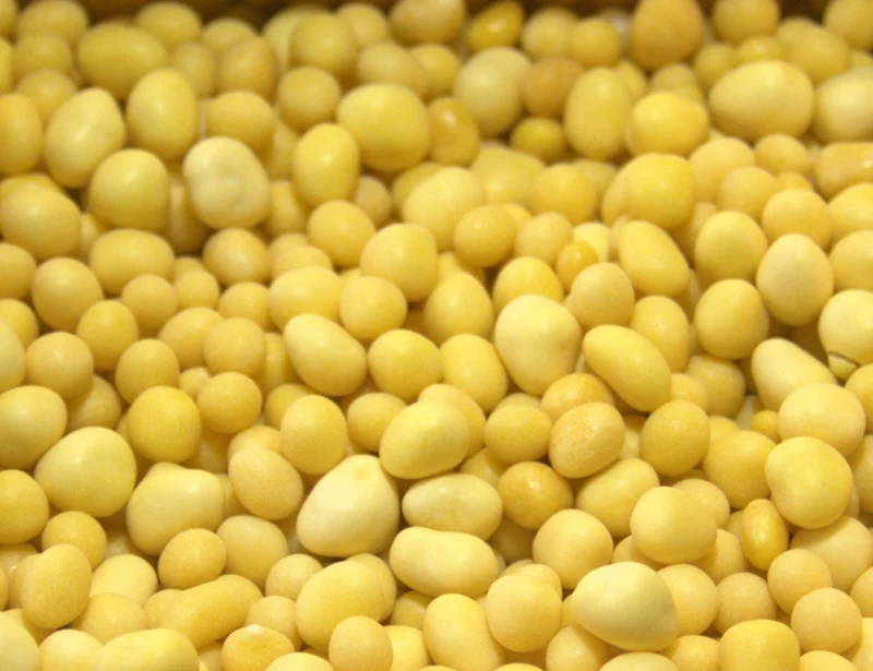 confetti di Curcuma