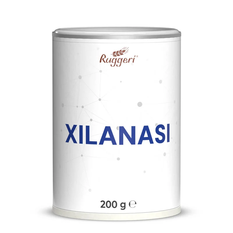 Enzima Xilanasi