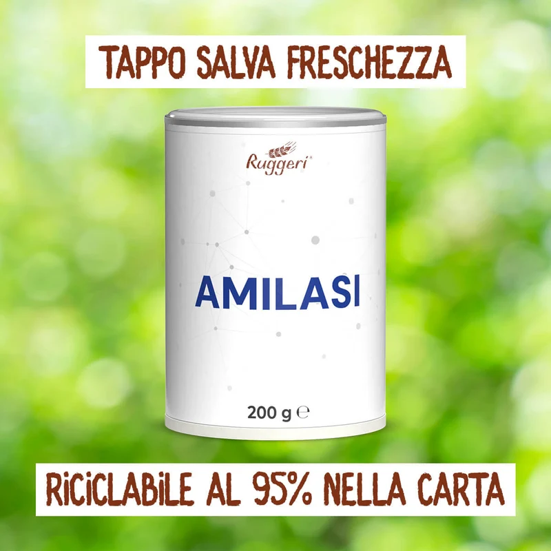 Enzima Amilasi