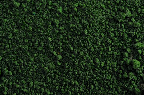 COLORANTE EN POLVO LIPOSOLUBLE VERDE 25G
