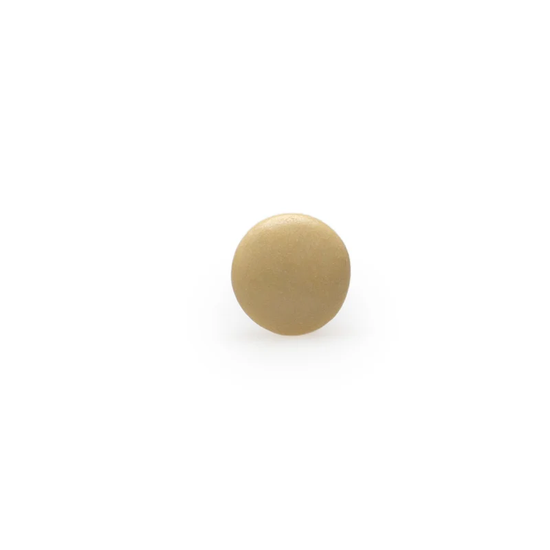 Lentilles champagne