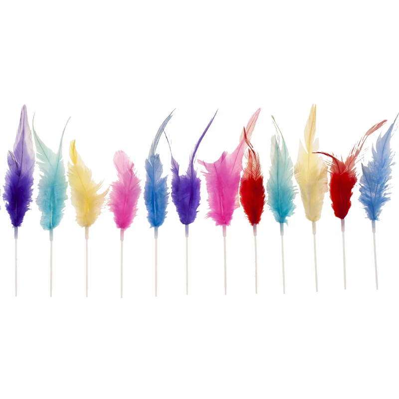 200 PLUMAS SURTIDAS 14CM