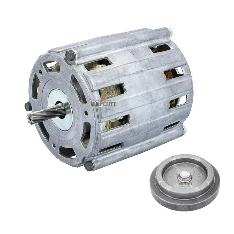 Motor and Motor Support for Musso Pola Stella