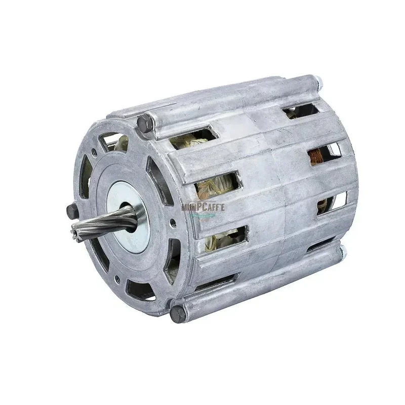 Motor and Motor Support for Musso Pola Stella