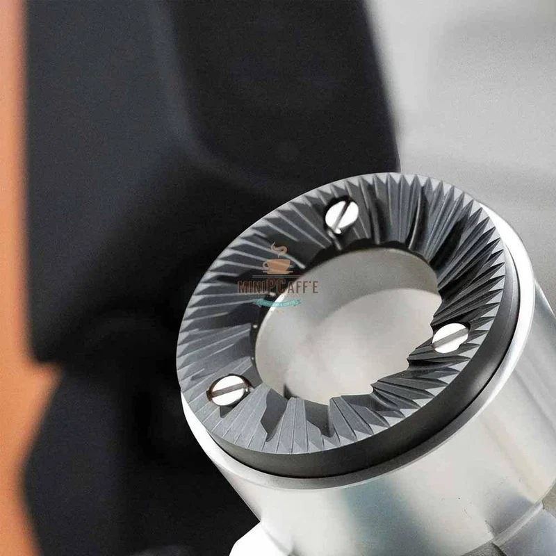 Fiorenzato Allground Sense Coffee Grinder