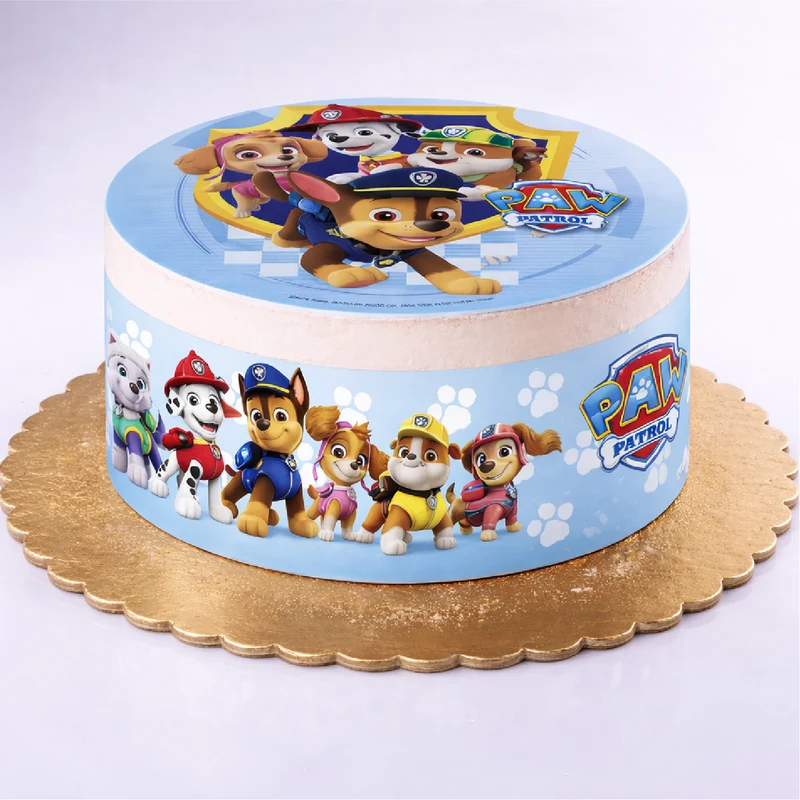 RIBBONS PAW PATROL PAPEL COMESTIBLE A5 14,8X21CM