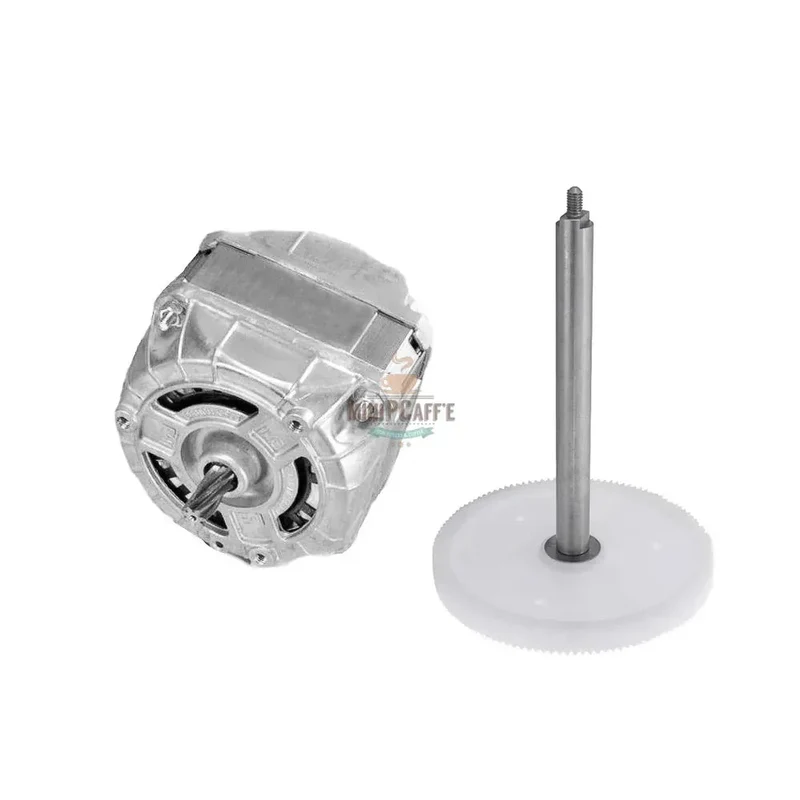 Motor and Gear and Shaft Replacement for Musso Mini Lussino
