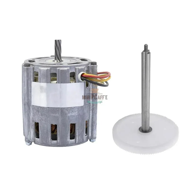 Motor and Gear and Shaft Replacement for Musso Pola Stella