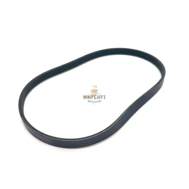 Drive Belt for Musso Ragusa Consul Ice Cream Machine