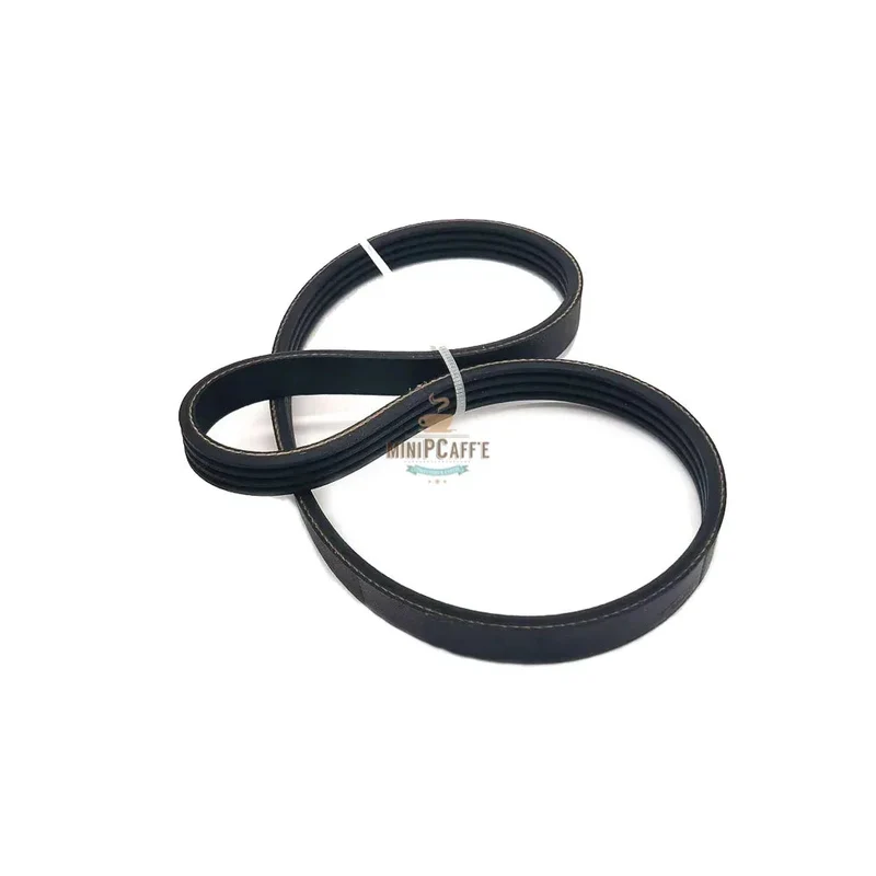 Drive Belt for Musso Fiume Giardino Ice Cream Machine
