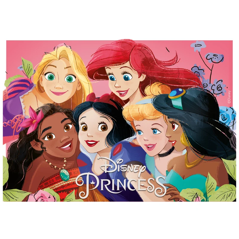 LÁMINA COMESTIBLE TARTA PRINCESAS DISNEY A5 14,8X21CM