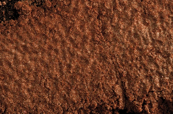 COLORANTE EN POLVO LIPOSOLUBLE BRONCE PERLADO 25G AZF