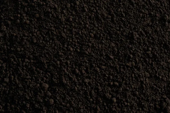 COLORANTE EN POLVO LIPOSOLUBLE NEGRO 25G AZF