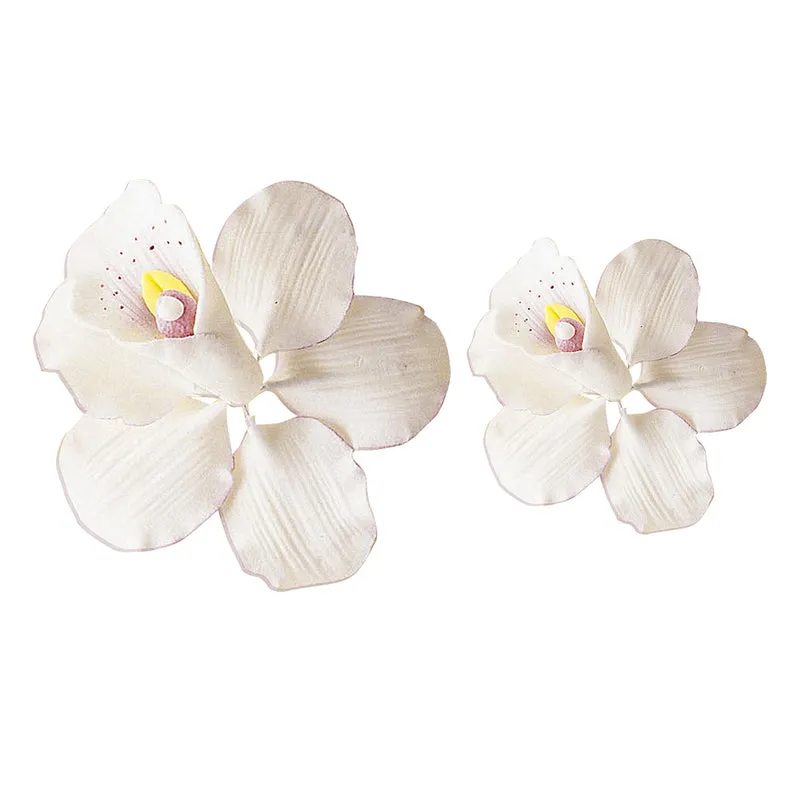 SURTIDO ORQUÍDEAS AZÚCAR 9X9 | 6X6 CM