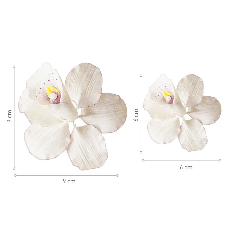 SURTIDO ORQUÍDEAS AZÚCAR 9X9 | 6X6 CM