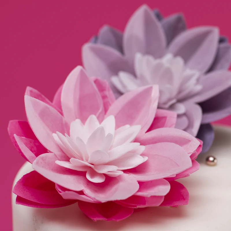 WATER LILY OBLEA COLOR ROSA 14CM