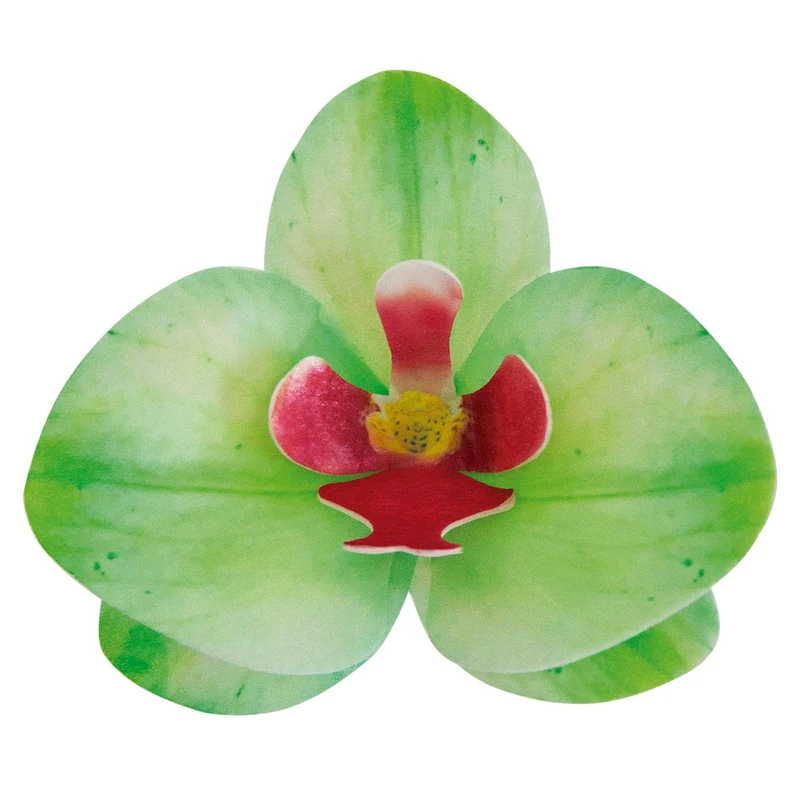 CAJA DE 10 ORQUÍDEAS DE OBLEA VERDES 8.5-7.5CM