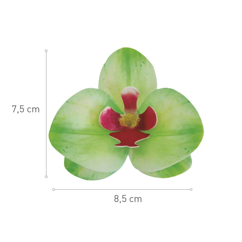 CAJA DE 10 ORQUÍDEAS DE OBLEA VERDES 8.5-7.5CM