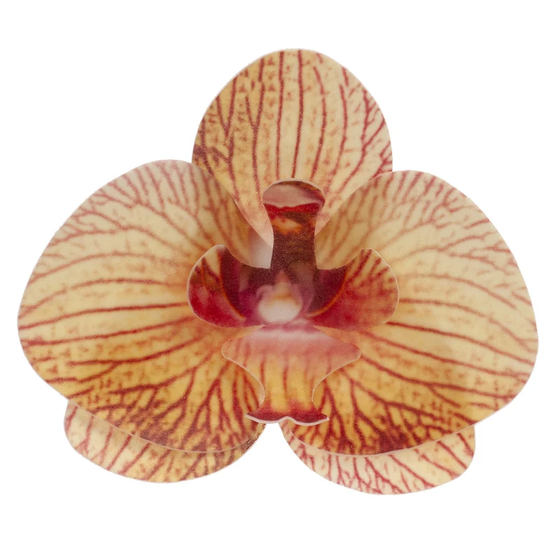 CAJA DE 10 ORQUÍDEAS DE OBLEA NARANJAS 8.5-7.5CM
