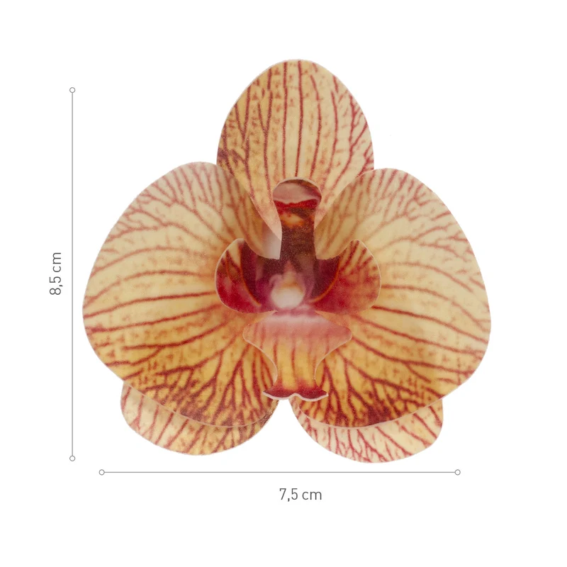 CAJA DE 10 ORQUÍDEAS DE OBLEA NARANJAS 8.5-7.5CM