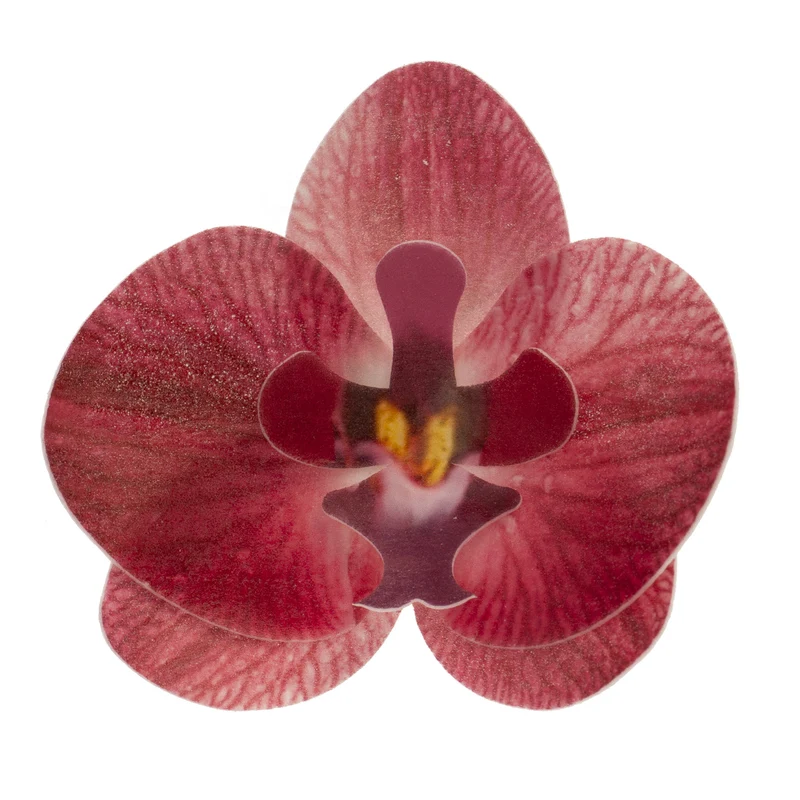 CAJA DE 10 ORQUÍDEAS DE OBLEA BURDEOS 8.5-7.5CM