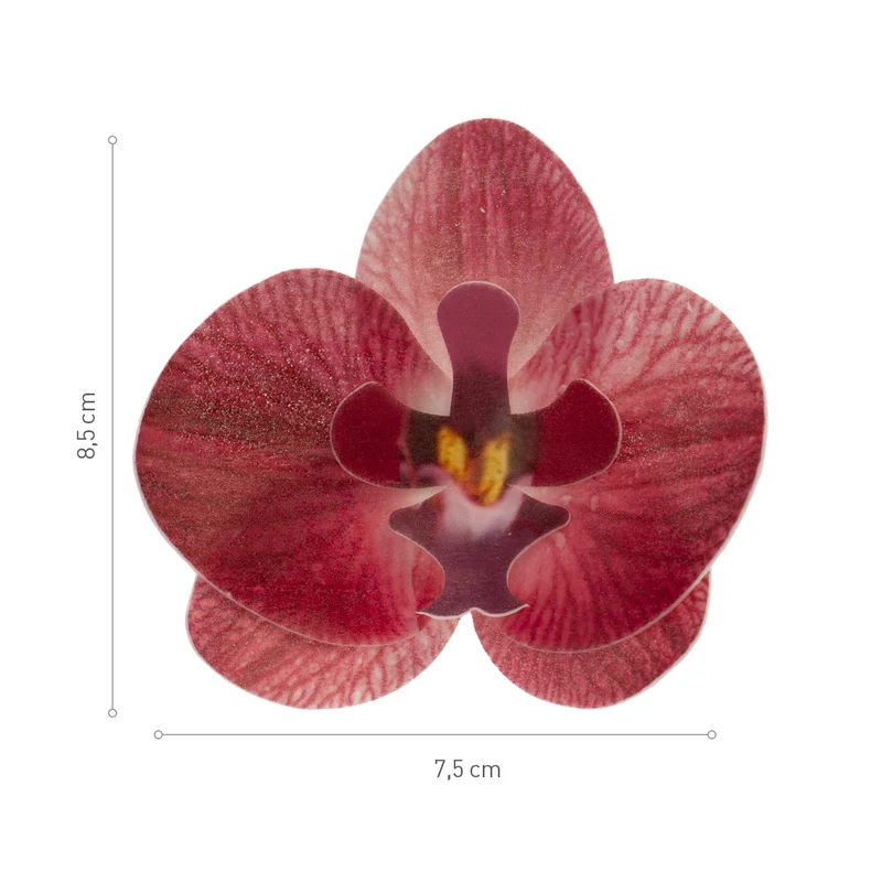 CAJA DE 10 ORQUÍDEAS DE OBLEA BURDEOS 8.5-7.5CM