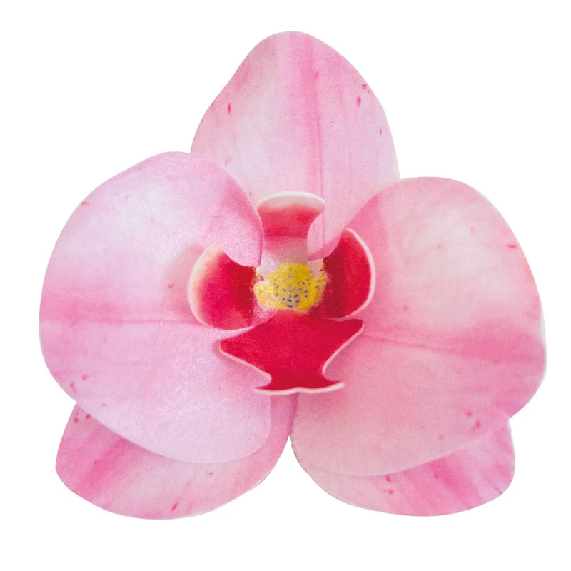 10 ORQUÍDEAS DE OBLEA ROSA 8,5 x 7,5 CM