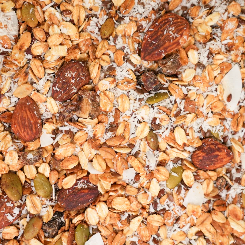GRANOLA DATTERI E COCCO BIO - Busta gr. 400-GAS