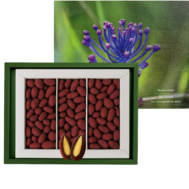 CASSETTA MUSCARI - Mandorla, Fondente e Mirtilli Rossi
