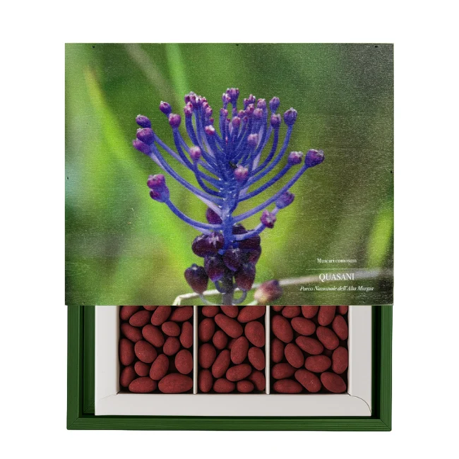 CASSETTA MUSCARI - Mandorla, Fondente e Mirtilli Rossi