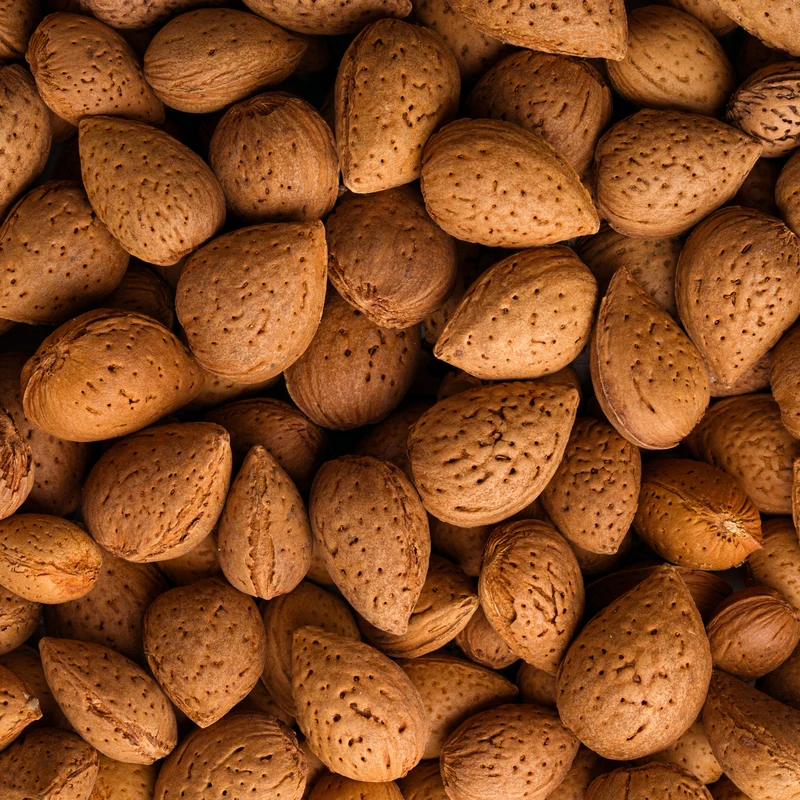 Mandorle di Toritto - in Guscio Bio Raccolto 2026