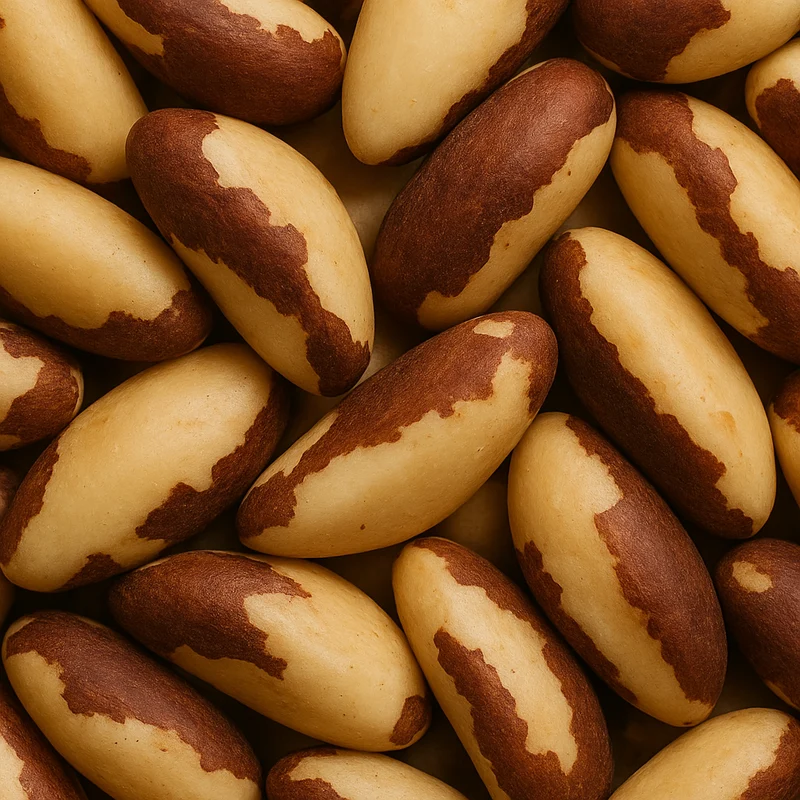 NOCI BRASILIANE BIO 80g