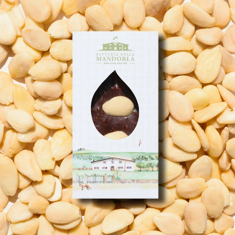 BARRETTA MANDORLA PELATA E CIOCCOLATO 40g - GAS