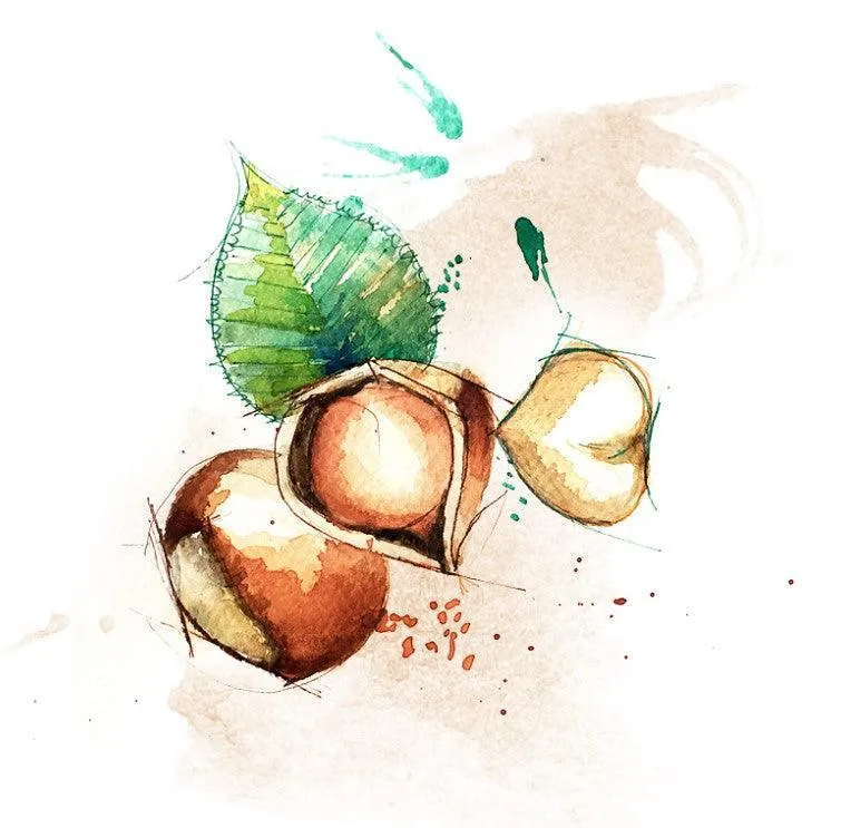 Crema spalmabile 50% Nocciole e Cacao